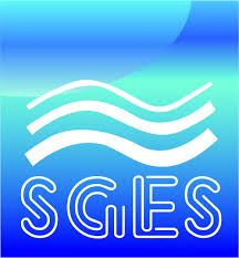 Sarathy Geotech (SGES)